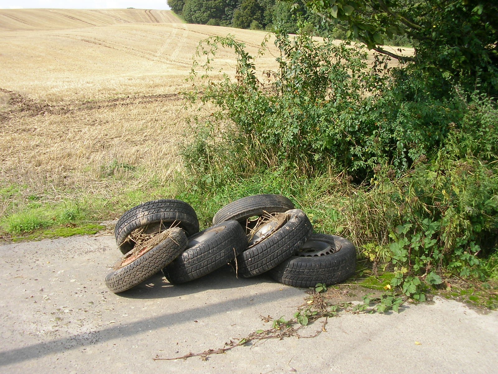 Eigentlich ein schöner Anblick...