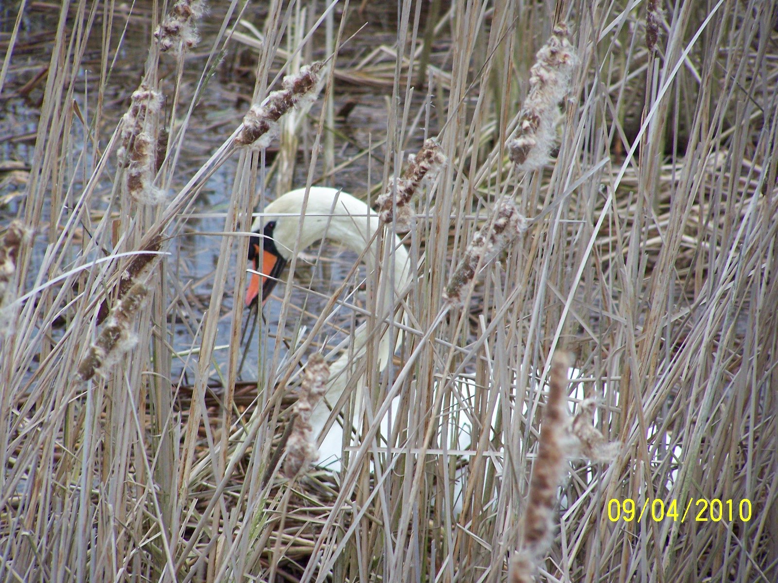 ...nur nicht zu nahe kommen.