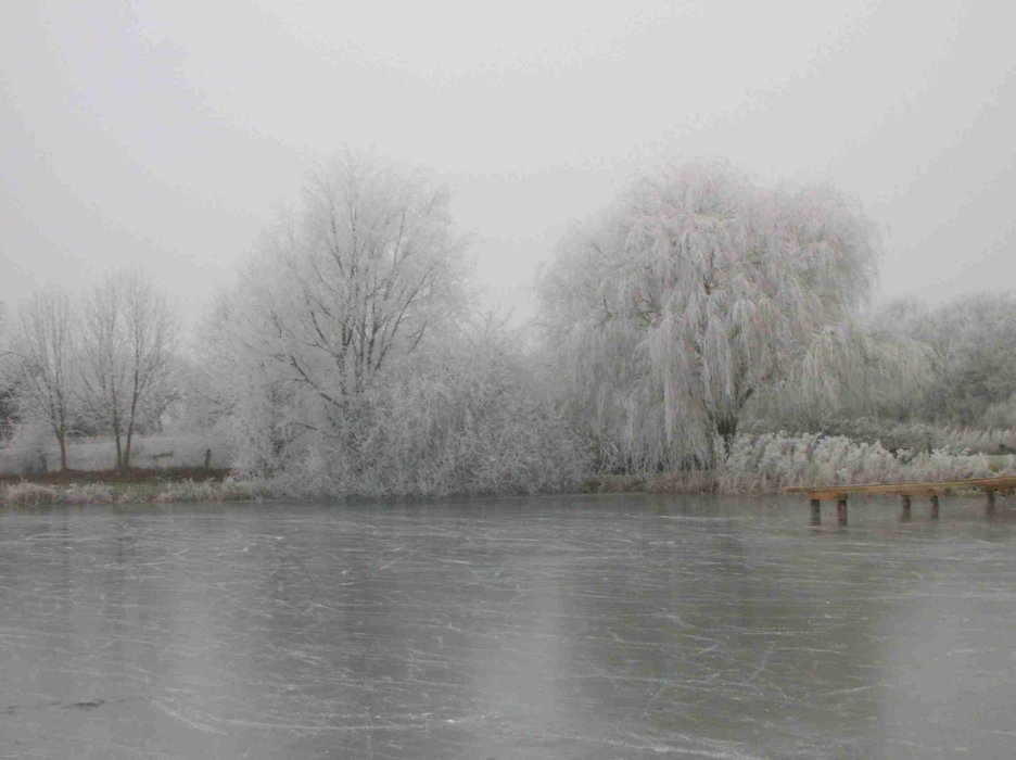 Blick in Richtung auf Sülsdorf