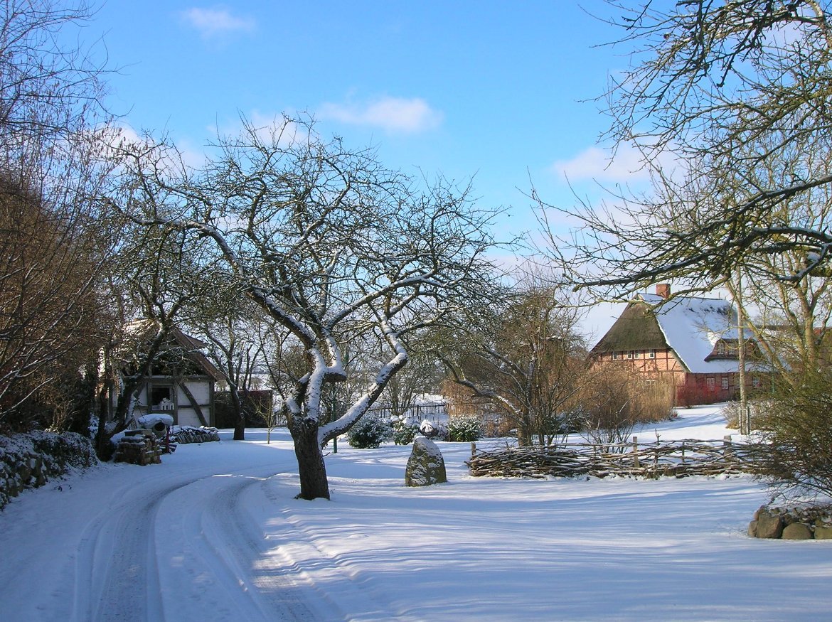 Januar-Motiv